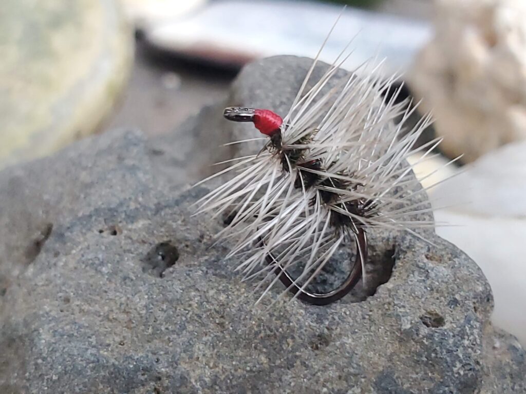 Peacock palmer kebari